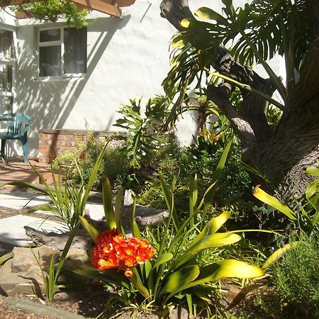 Be My Guest Lodge Bloubergstrand Værelse billede