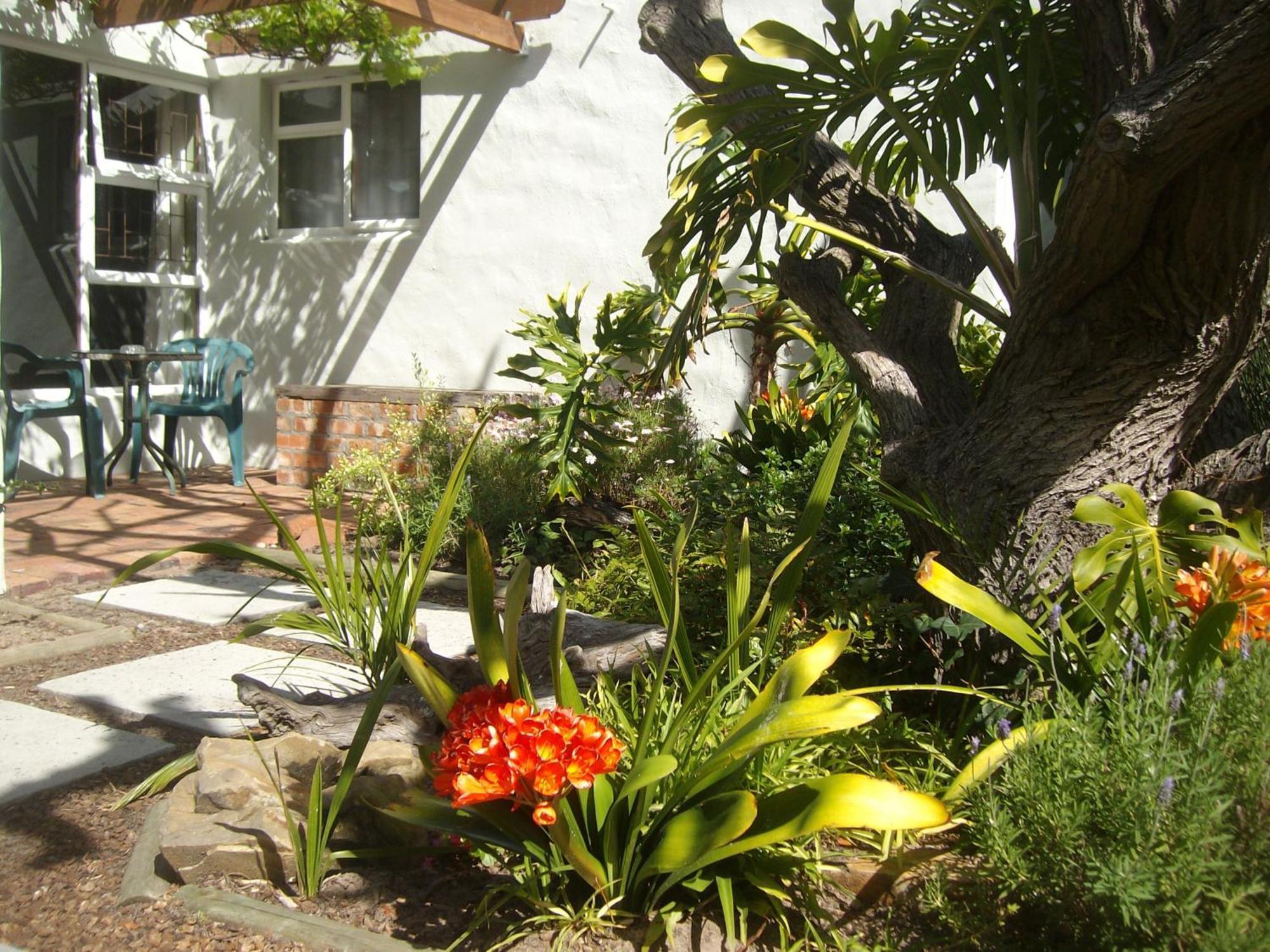 Be My Guest Lodge Bloubergstrand Værelse billede