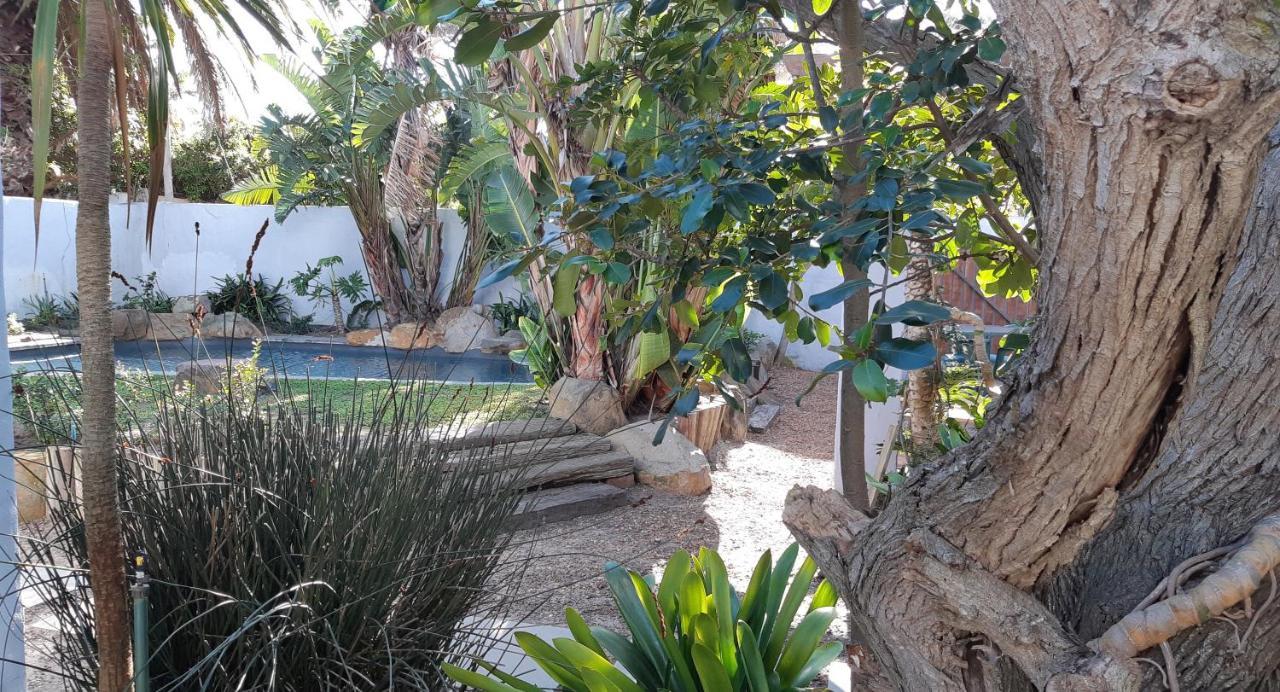 Be My Guest Lodge Bloubergstrand Eksteriør billede