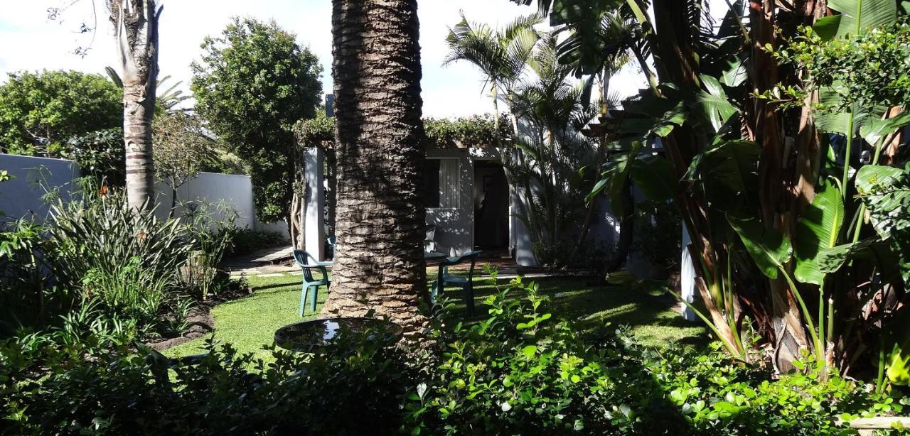 Be My Guest Lodge Bloubergstrand Eksteriør billede